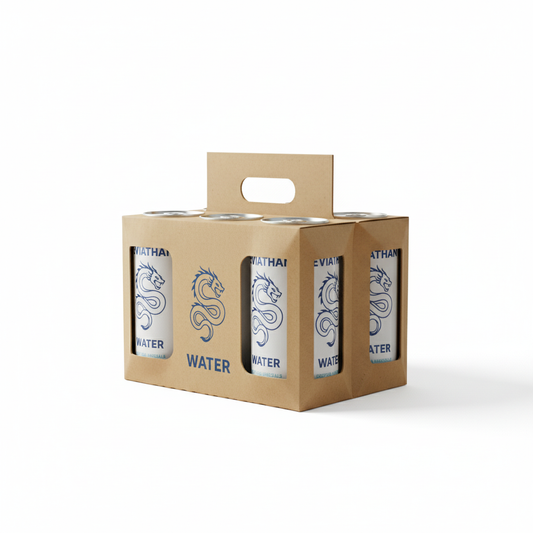 Pack 6 Agua - Lata 350cc