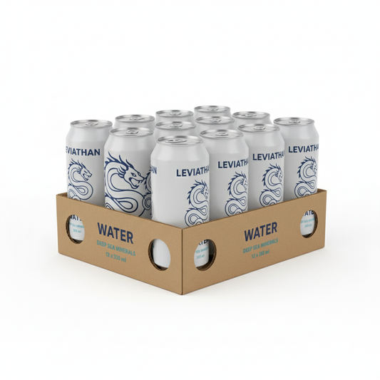 Pack 12 Agua - Lata 350cc